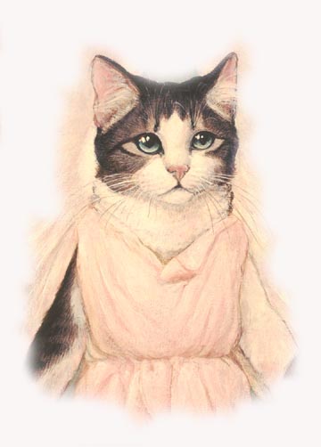 Copia di Catz 8